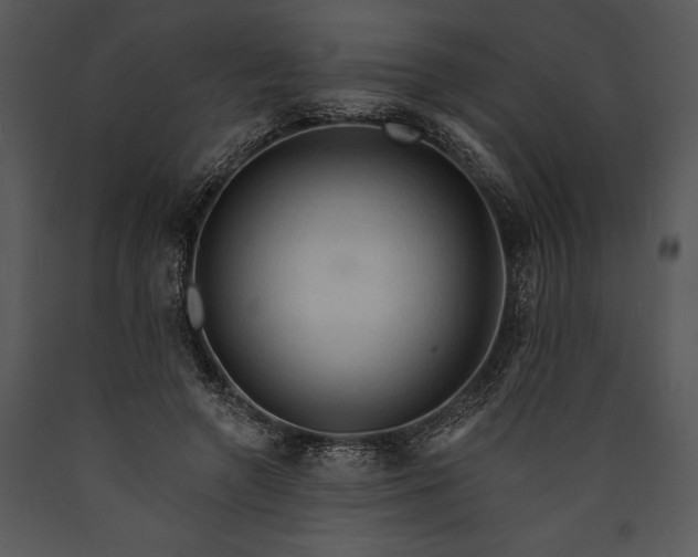 X0000089660546200707191651
