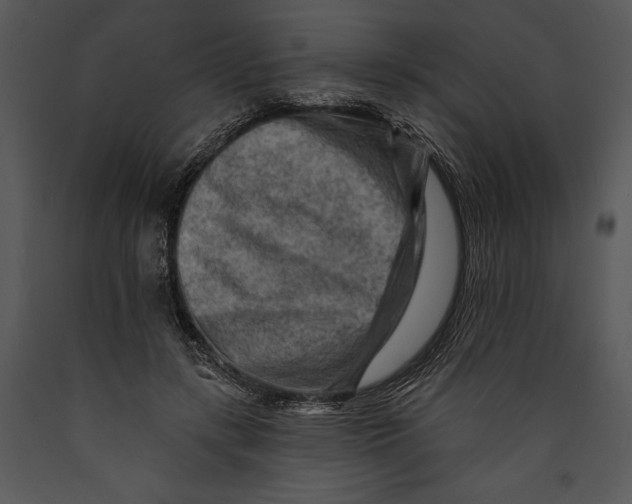 X0000089660547200707191651