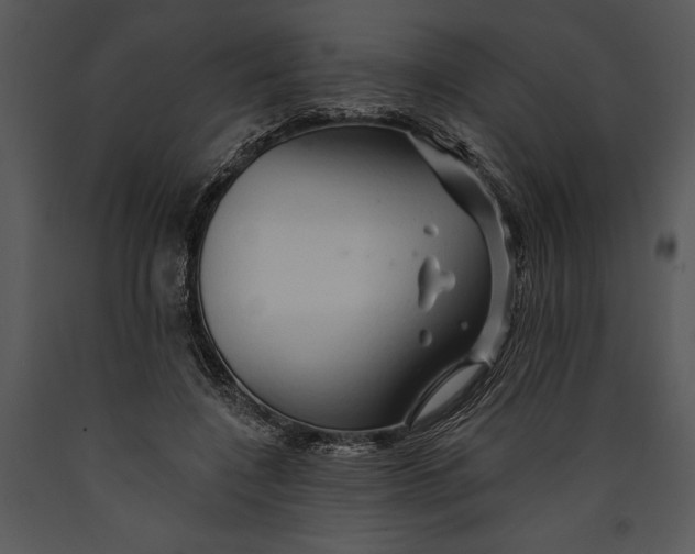X0000089660548200707191651