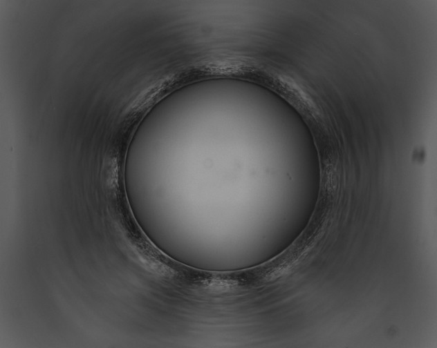 X0000089660549200707191651