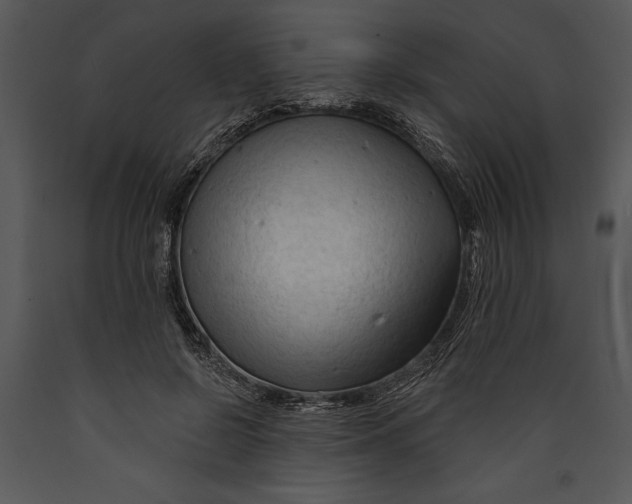 X0000089660550200707191651