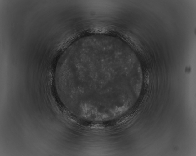 X0000089660551200707191651