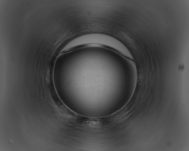 X0000089660552200707191651