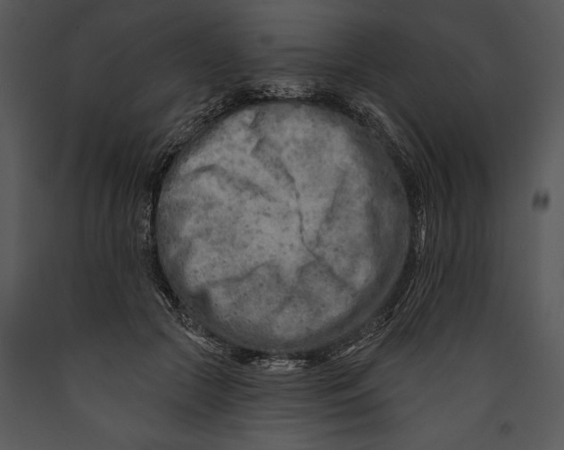 X0000089660553200707191651