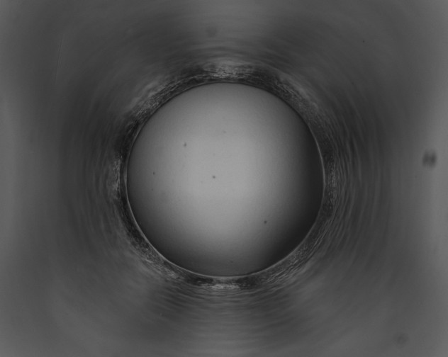 X0000089660554200707191651