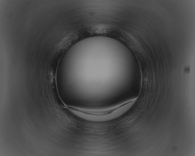 X0000089660555200707191651