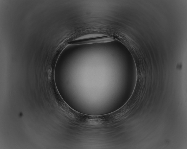 X0000089660556200707191651