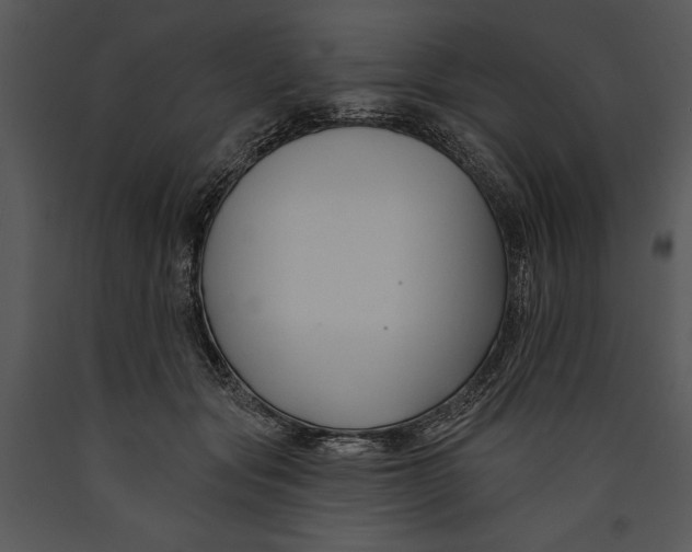 X0000089660557200707191651