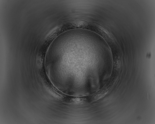 X0000089660558200707191651