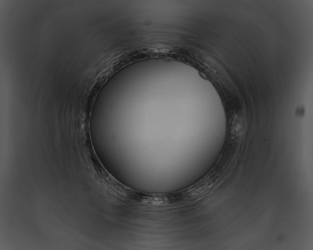 X0000089660559200707191651