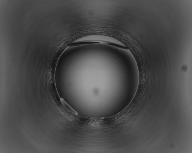 X0000089660560200707191651