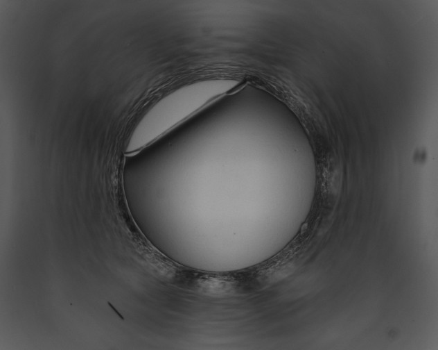 X0000089660561200707191651