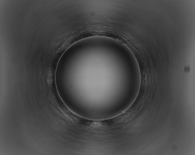 X0000089660562200707191651
