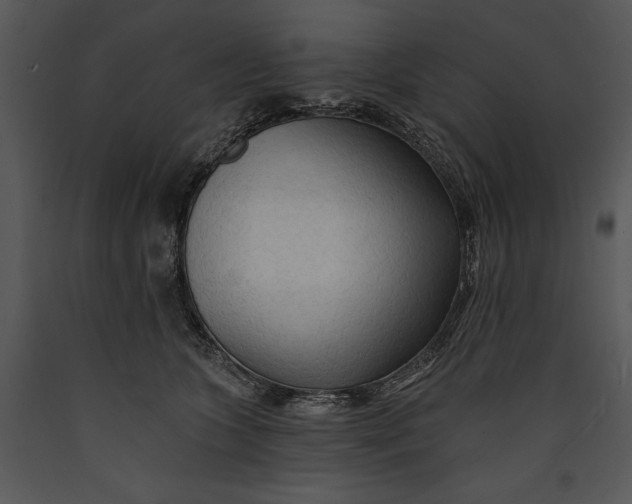 X0000089660563200707191651