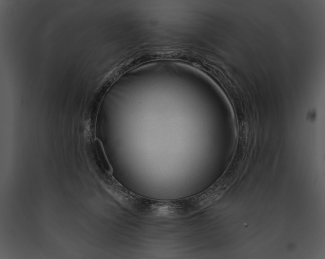 X0000089660564200707191651