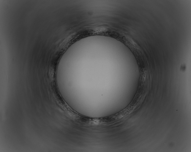 X0000089660565200707191651