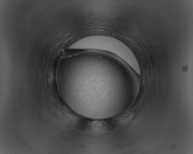 X0000089660566200707191651