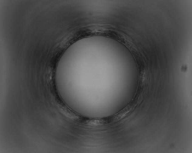 X0000089660567200707191651