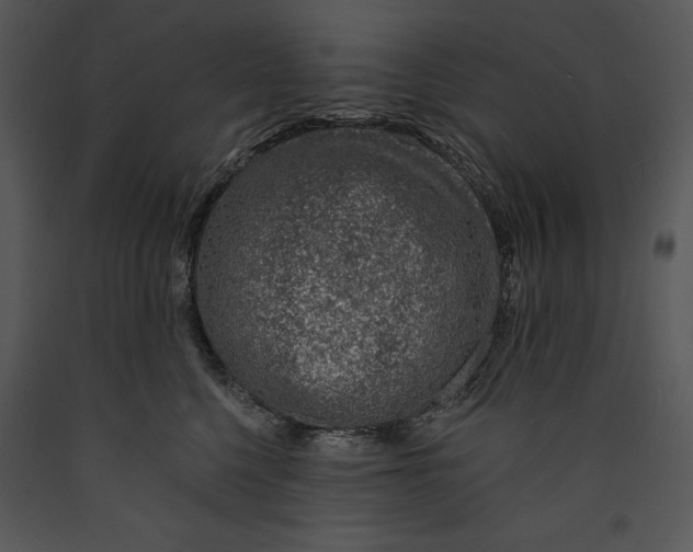 X0000089660568200707191651