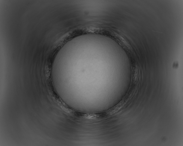 X0000089660569200707191651