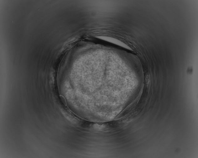 X0000089660570200707191651