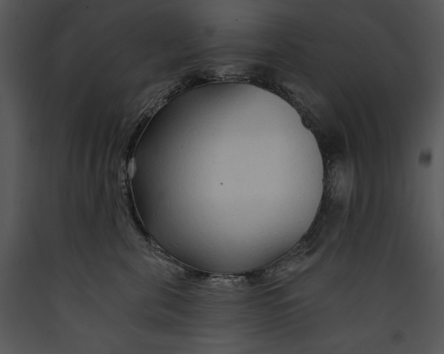 X0000089660571200707191651