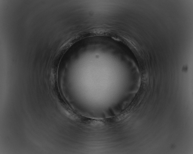 X0000089660572200707191651
