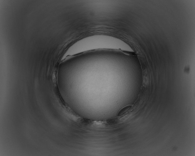 X0000089660573200707191651