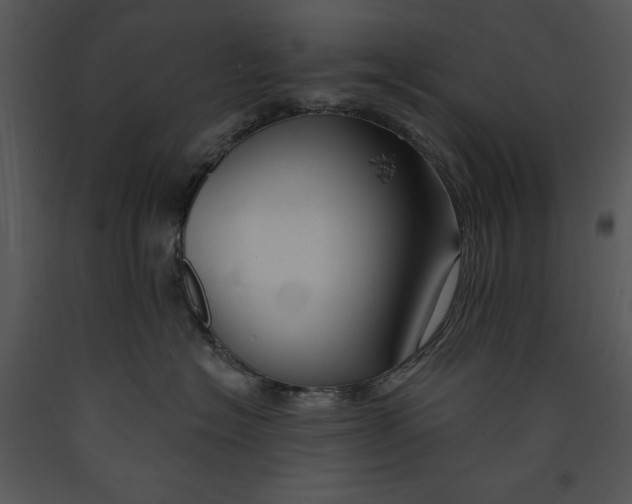 X0000089660574200707191651