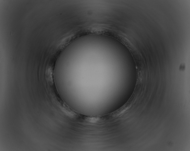 X0000089660575200707191651