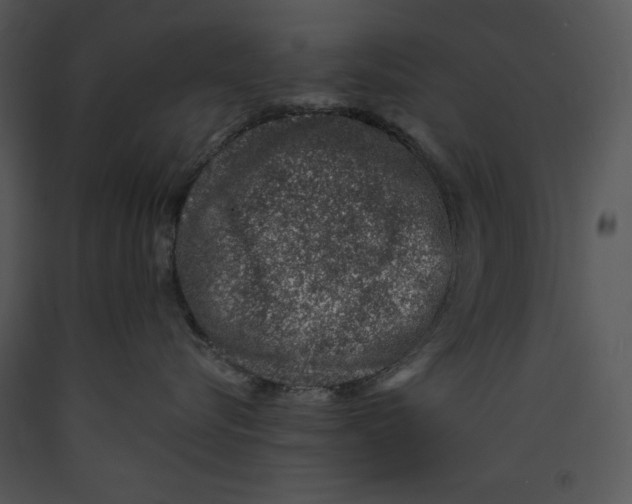 X0000089660576200707191651