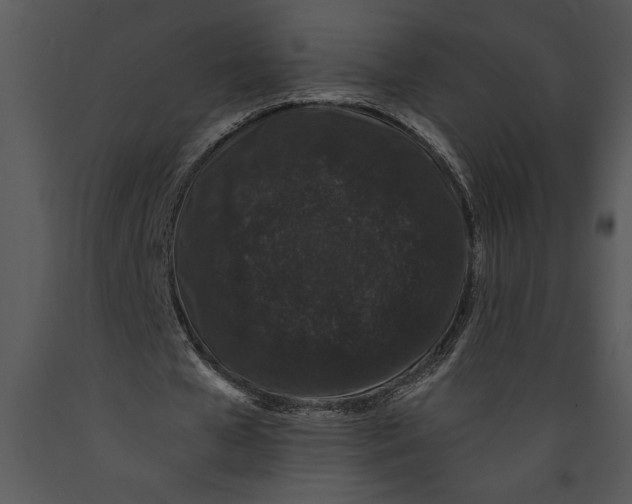 X0000089660577200707191650