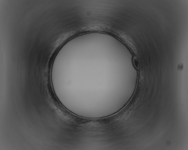 X0000089660578200707191650