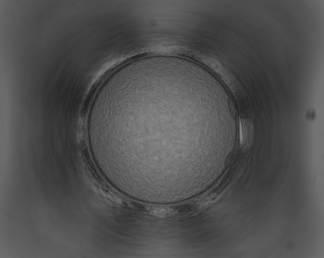X0000089660579200707191650
