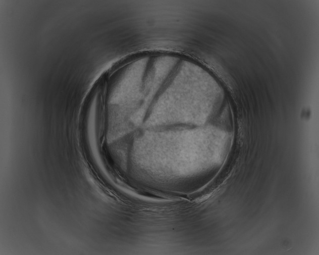 X0000089660580200707191650
