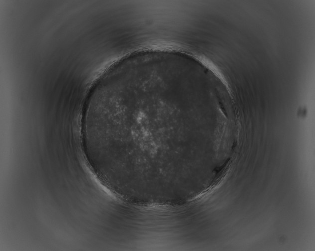 X0000089660581200707191650