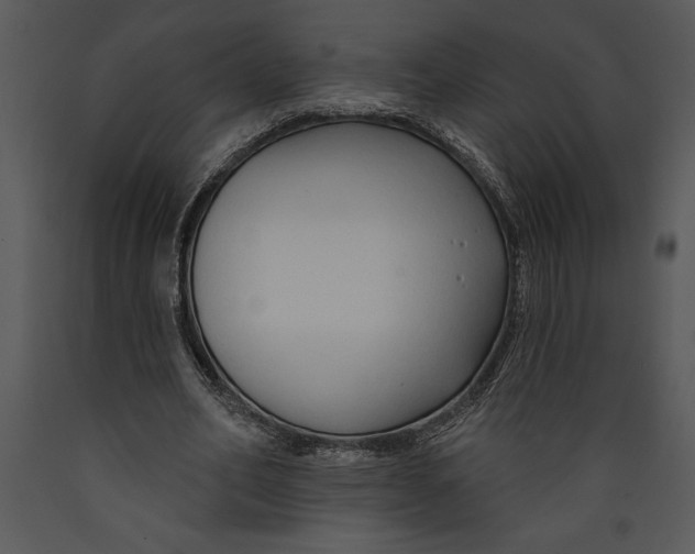 X0000089660582200707191650