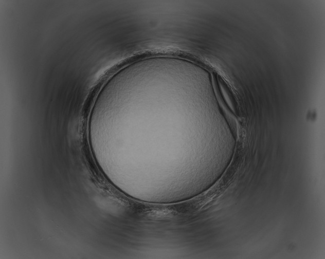 X0000089660583200707191650