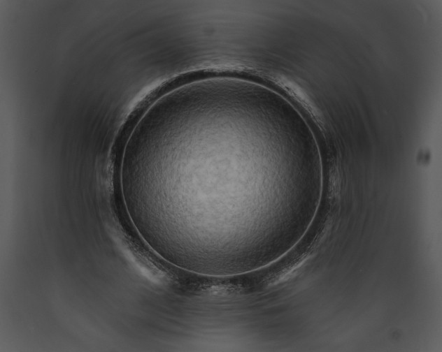 X0000089660584200707191650
