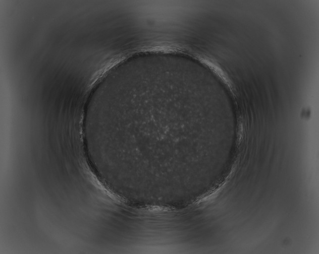 X0000089660585200707191650