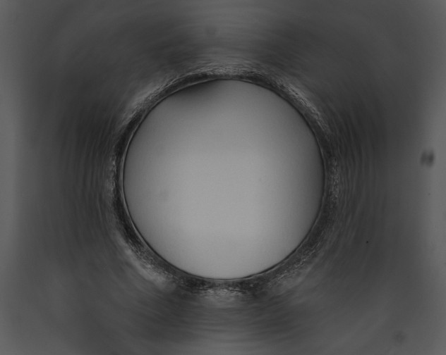 X0000089660586200707191650