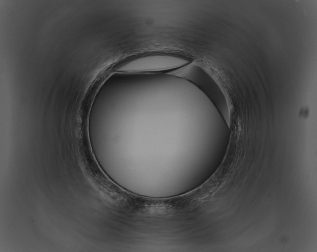 X0000089660587200707191650