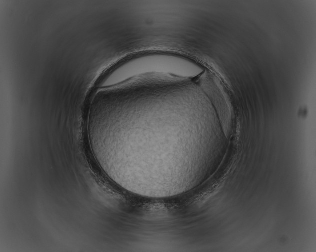 X0000089660588200707191650
