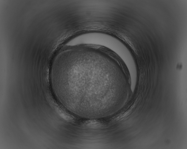 X0000089660589200707191650
