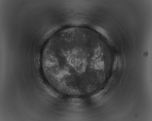 X0000089660590200707191650
