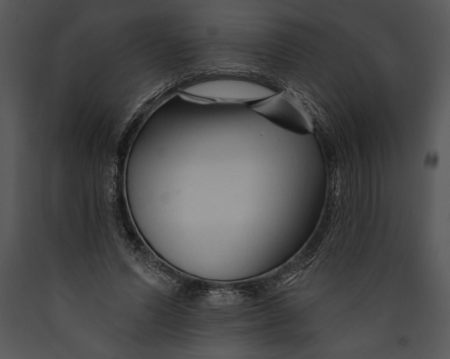 X0000089660591200707191650