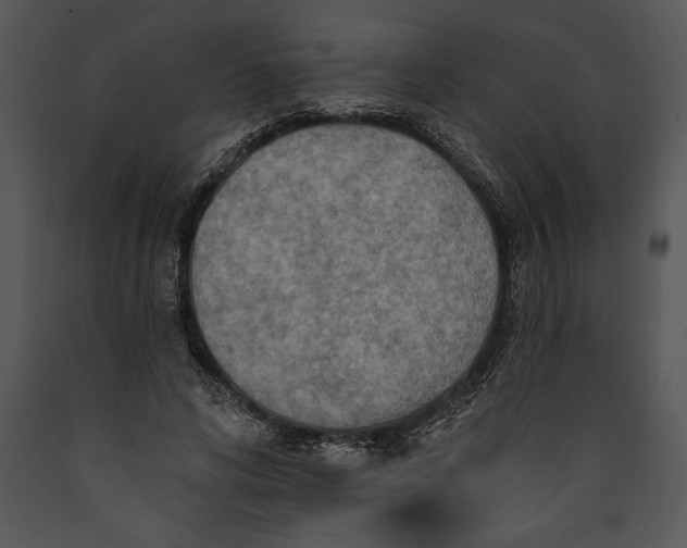 X0000089660592200707191650