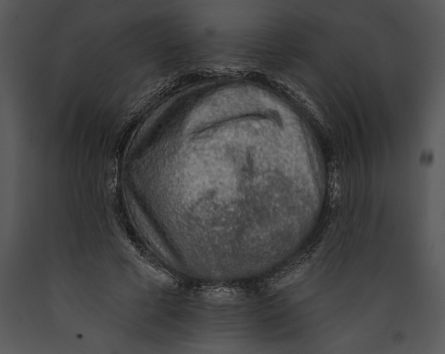 X0000089660593200707191650