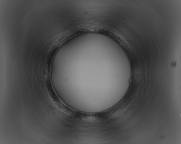 X0000089660594200707191650