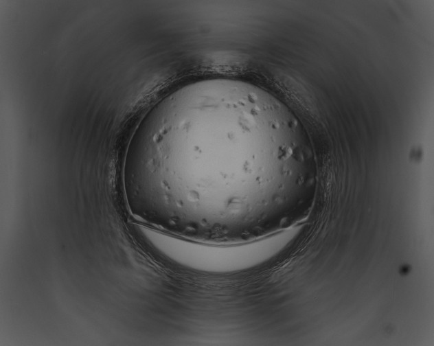 X0000089660595200707191650